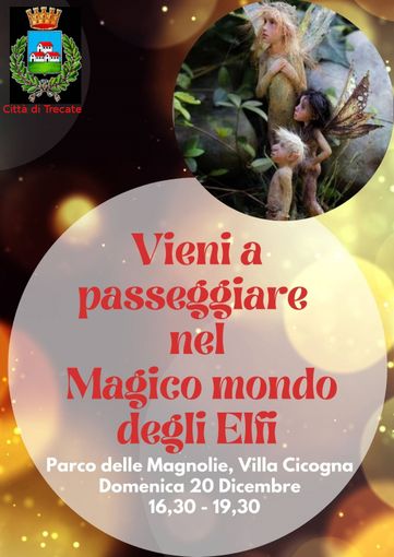 Domenica a Trecate si potrà passeggiare nel magico mondo degli Elfi