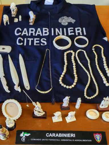 Borgomanero: i carabinieri sequestrano 29 oggetti in avorio, quattro denunce