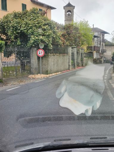 Manutenzione di terreni e giardini: il Comune di Brovello-Carpugnino richiama i cittadini al rispetto dell'ordinanza