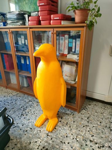 Furto del pinguino e tentata rapina ad Arona risolti grazie alle telecamere