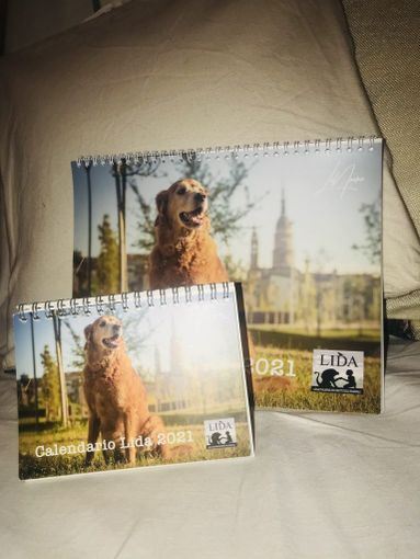 CST, on line il sito del Mercatino della Solidarietà