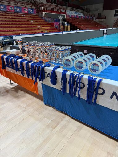 Angelica Piacentini e Camilla Gennusa “Atlete dell'anno 2024” della Libertas nuoto Novara Angelica Piacentini e Camilla Gennusa “Atlete dell'anno 2024” della Libertas nuoto Novara