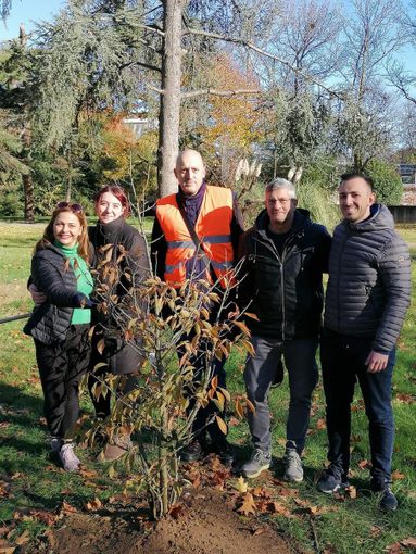 Tre nuove piante messe a dimora dall’associazione volontari per l’ambiente