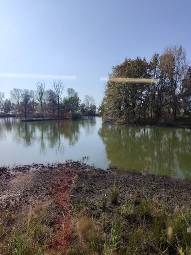 Alla palude di Casalbeltrame torna la stazione di inanellamento Alla palude di Casalbeltrame torna la stazione di inanellamento
