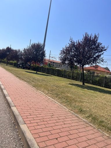 ‍Taglio dell’erba e interventi sul verde pubblco: cosi’ ha lavorato e sta lavorando l’ufficio ambiente di Trecate