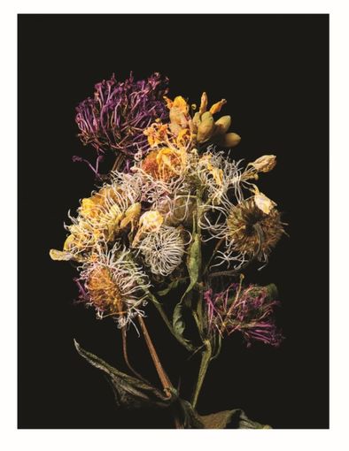 Olga Cafiero vince il Garesio Wine Prize for Documentary Photography" Olga Cafiero vince il Garesio Wine Prize for Documentary Photography"