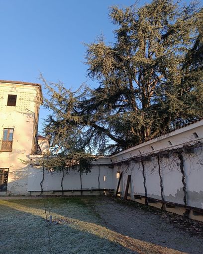 Nuova vita al Pomario di Villa Picchetta: tornano i meli antichi e le viti storiche