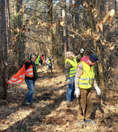 Puliamo i Boschi a Bellinzago Novarese: iniziativa volontaria per la salvaguardia dell'ambiente Puliamo i Boschi a Bellinzago Novarese: iniziativa volontaria per la salvaguardia dell'ambiente