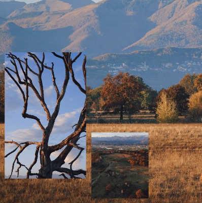La Baraggia di Candelo in foto e una passeggiata notturna col Pelobate