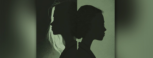 "La teoria dell'oliva" di Federica Baiesi: presentazione in biblioteca con l'autrice