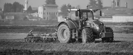 A Trecate anche la "Fiera Agricola e Artigiana" A Trecate anche la "Fiera Agricola e Artigiana"