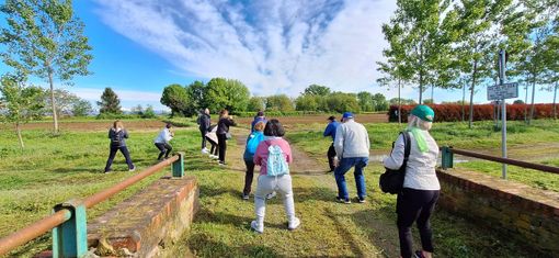 Fit4Walking: passi per la salute