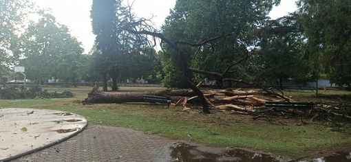 Trecate, chiusi parchi e alcuni immobili comunali Trecate, chiusi parchi e alcuni immobili comunali