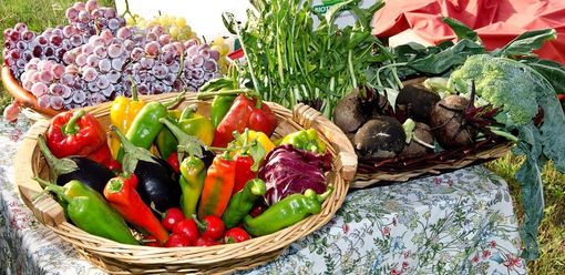 Trecate, sabato nuovo appuntamento con il mercato di Campagna Amica Trecate, sabato nuovo appuntamento con il mercato di Campagna Amica