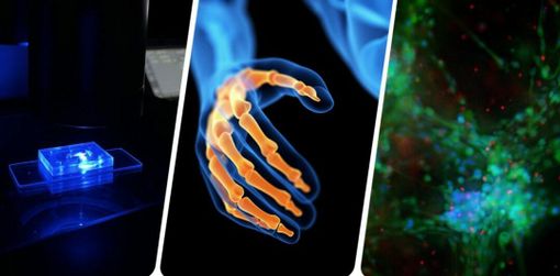 Flamin-Go: la ricerca che diventa cura