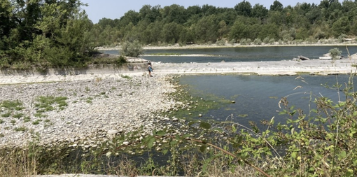 Lago Maggiore sempre più giù: riempimento ad appena il 16% Lago Maggiore sempre più giù: riempimento ad appena il 16%