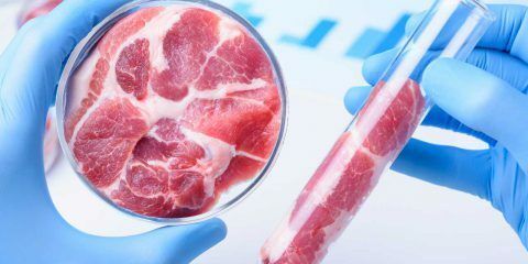 Tre italiani su quattro temono il controllo del cibo da parte delle grandi potenze finanziarie: l’allarme Coldiretti-Censis Tre italiani su quattro temono il controllo del cibo da parte delle grandi potenze finanziarie: l’allarme Coldiretti-Censis