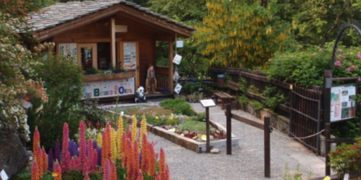 "Orti Botanici, eccellenze Italiane": alla scoperta di un patrimonio naturalistico "Orti Botanici, eccellenze Italiane": alla scoperta di un patrimonio naturalistico