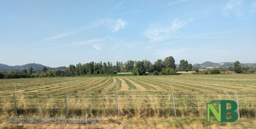 Convegno "La risorsa idrica in Piemonte" 1/2 marzo a Torino Convegno "La risorsa idrica in Piemonte" 1/2 marzo a Torino