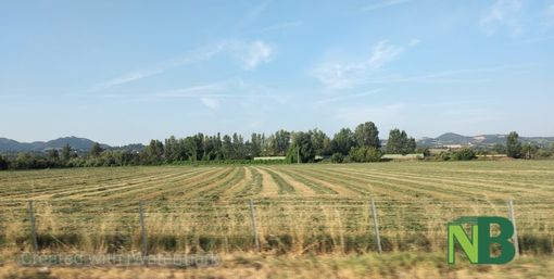 Regimi di qualità: la regione Piemonte apre un bando da oltre un milione di euro Regimi di qualità: la regione Piemonte apre un bando da oltre un milione di euro