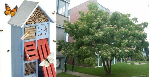 Al Bioparco Roggia Moretta sarà installato un ‘Bee Hotel’