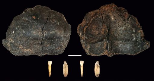 Scoperti a Borgosesia i resti preistorici più antichi del Nord Italia