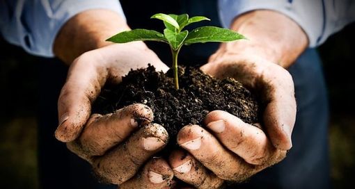 Confagricoltura Piemonte: "Infortuni sul lavoro in calo. L'agricoltura in prima linea nella difesa dei suoi lavoratori” Confagricoltura Piemonte: "Infortuni sul lavoro in calo. L'agricoltura in prima linea nella difesa dei suoi lavoratori”