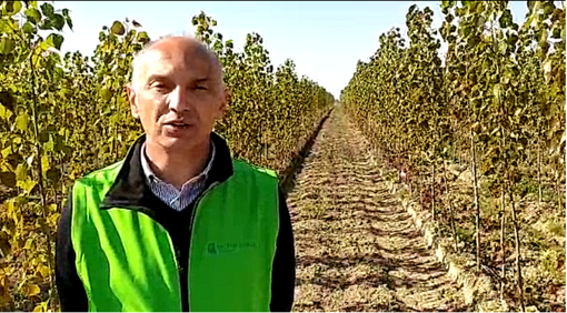 In arrivo fondi per le imprenditrici agricole, Confagricoltura: “Opportunità per il Piemonte&quot;