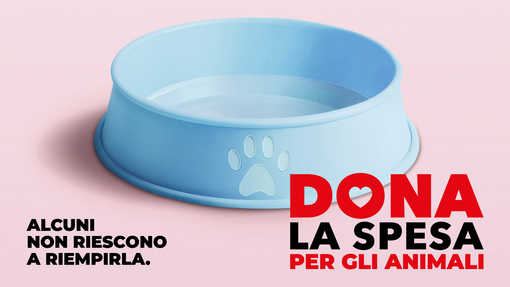 Solidarietà a quattro zampe: l'11 luglio torna la raccolta alimentare "Dona la Spesa"