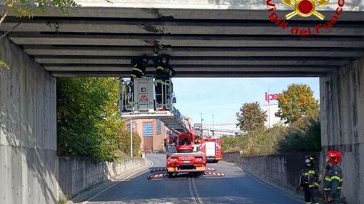 Iniziati i lavori di sistemazione del ponte di via Porzio Giovanola a Novara