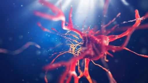 Upo e Aou "Maggiore della Carità" insieme contro la sclerosi multipla Upo e Aou "Maggiore della Carità" insieme contro la sclerosi multipla