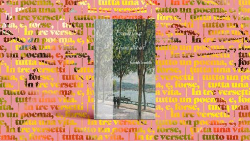 Errando lungo il fiume alberato: “Quando troverò la pace?”