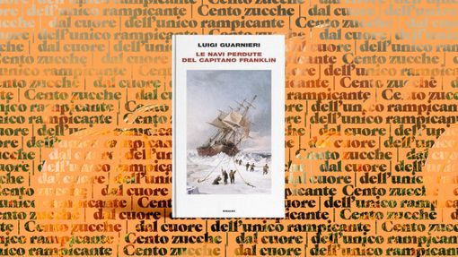 Le navi perdute del capitano Franklin: un viaggio nel mistero del Grande Nord