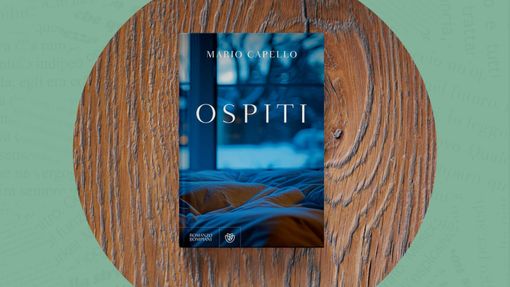 ''Ospiti'', il romanzo che racconta la vita di due italiani a Stoccolma ''Ospiti'', il romanzo che racconta la vita di due italiani a Stoccolma