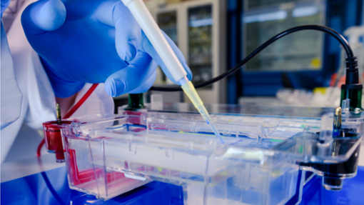 Ricerca, fondi Ue per la lotta al Covid: 6,5 milioni per laboratori privati e università Ricerca, fondi Ue per la lotta al Covid: 6,5 milioni per laboratori privati e università