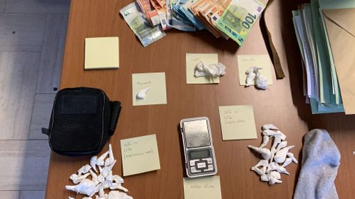 Arrestato dalla Polizia con 60 dosi di coca