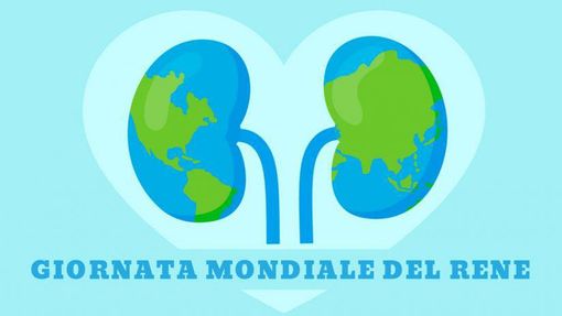 Sensibilizzazione e prevenzione: giornata mondiale del rene