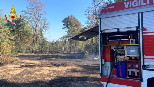 Immagine di Repertorio