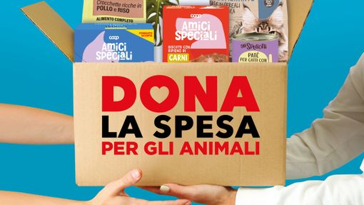 Colletta alimentare per gli animali nei negozi Nova Coop