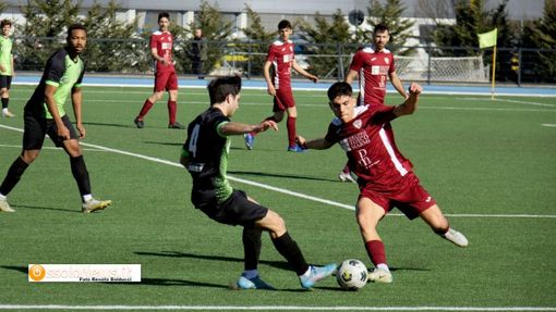 Promozione, ecco il calendario della stagione 2024-25 Promozione, ecco il calendario della stagione 2024-25