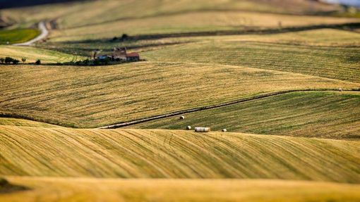 Giornata della Terra, Coldiretti: &quot;Scomparsi in Piemonte 2,4 campi da calcio al giorno&quot;