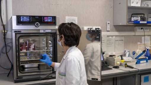 Nuove speranze per comprendere l'autismo: UniTo e Città della Salute scoprono un gene che ne è responsabile Nuove speranze per comprendere l'autismo: UniTo e Città della Salute scoprono un gene che ne è responsabile