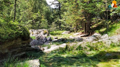 Alla ricerca del Lago Secco in Valle Anzasca