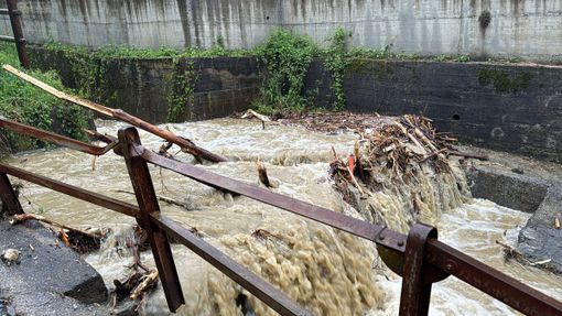 Maltempo, danni all'agricoltura in Piemonte: l'assessore Marnati incontra l'Aipo