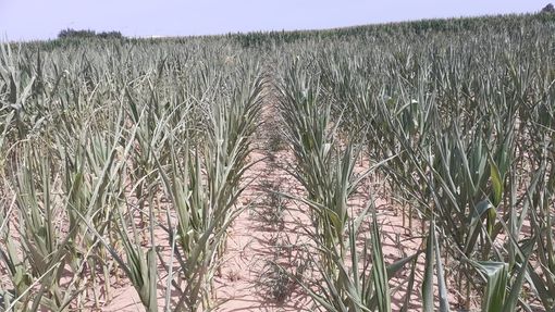 Siccità: semplificare per velocizzare gli interventi idrici sul Pnrr