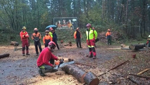 Regione, più tutela per gli operai forestali Regione, più tutela per gli operai forestali