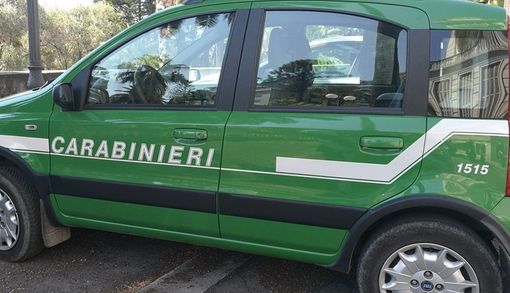 Denuncia per reati ambientali e sequestro dello stabilimento di una ditta di autodemolizioni