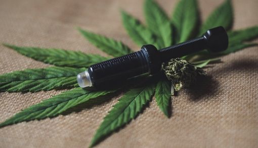 Coltivare la cannabis, l'appello degli addetti ai lavori: "Dateci regole chiare su quel che possiamo fare"