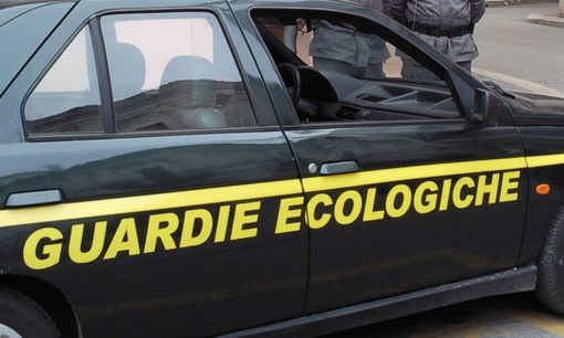 Bilancio positivo per le guardie ecologiche della Provincia Bilancio positivo per le guardie ecologiche della Provincia