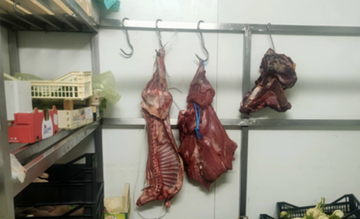 Gravi carenze igienico-sanitarie in un negozio di ortofrutta ad Arona
